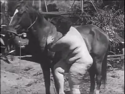 בפלפל שחור ארוך, הוא מכה באישה נגרית מטומטמת. סקס חינם ערביות