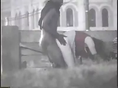 זרע זרם מאיבר צפייה בסקס חינם מטומטם הגון